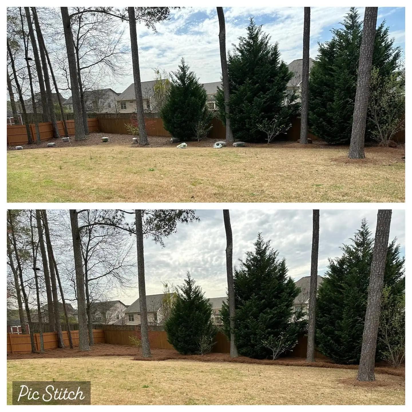 Backyard tree and shrub line trimmed at a Marietta, GA property